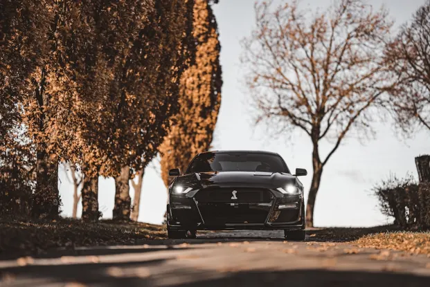 HippoZino Casino App Android/iOS